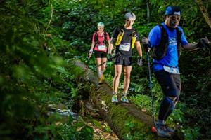 BIB: 
                            <button type="button" onclick="openModal(18923297)" class="btn btn-primary btn-sm float-right btn-popup" data-toggle="modal" data-target=".modal-high-quality">
                        <i class="fas fa-shopping-cart"></i> Add to Cart
                    </button>
                                            <button type="button" onclick="isThisMe(18923297, true)" class="btn btn-success btn-sm float-right btn-popup btn-isme hidden" data-toggle="tooltip" data-placement="bottom" title="นี่คือรูปของคุณใช่ไหม คลิกที่นี่เพื่อเอาเข้าอัลบั้ม">
                        <i class="fas fa-plus"></i> Add to album
                    </button>
                    <button type="button" onclick="isThisMe(18923297, false)" class="btn btn-warning btn-sm float-right btn-popup btn-isnotme hidden">
                        <i class="fas fa-ban"></i> Remove from album
                    </button>